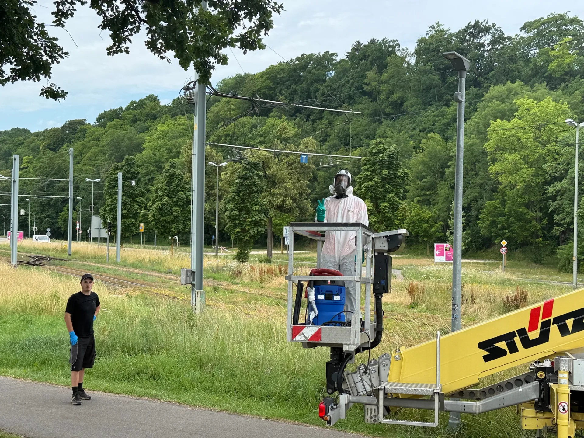 Eichenprozessionsspinner Bekämpfung in Ulm – Mitarbeiter von Baumpflege Schlupek im Schutzanzug mit Spezialsauger auf der Hubarbeitsbühne